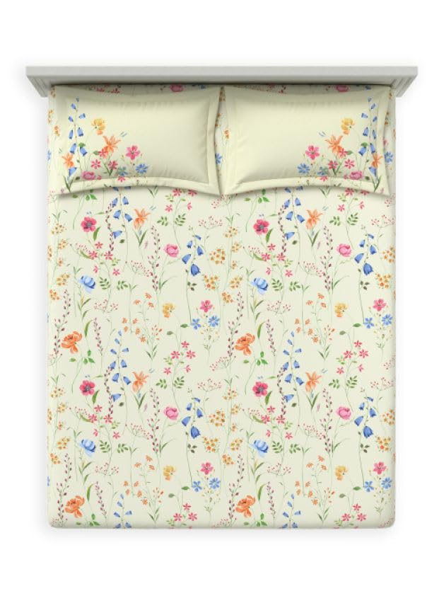 D'Decor King Size Bedsheet 164 TC Cotton with 2 Pillow Covers - Size: 229cm x 274cm - Package Includes: 1 Bedsheet & 2 Pillow Covers - Sweet Cream Florals