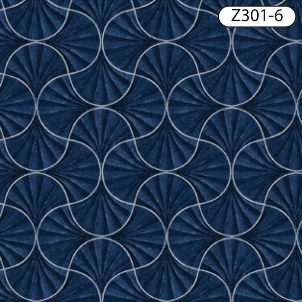 Z301-6