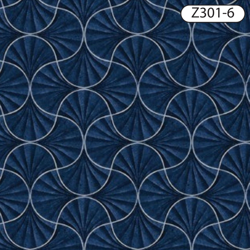 Z301-6